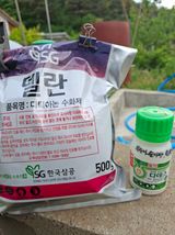 주재필님의 작성글 사진
