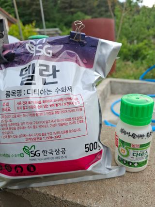 주재필님의 사과 · 영농일지 작성글 사진