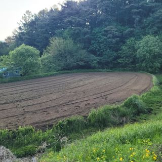 강원원주 유성훈56님의 기타작물 · 영농일지 작성글 사진