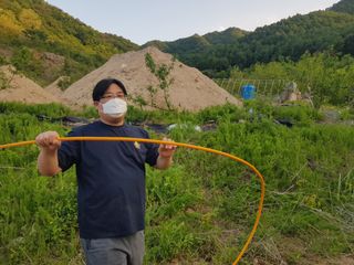 시금치10393님의 복숭아 · 영농일지 작성글 사진