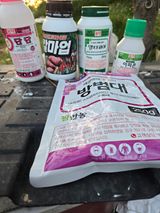 팜모닝 복숭아·영농일지 게시글 이미지