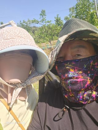 헤라여신^^♡님의 복숭아 · 영농일지 작성글 사진