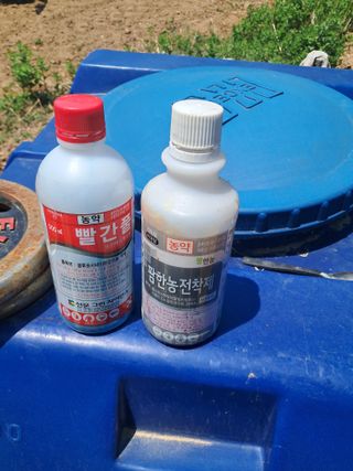 노재영님의 기타작물 · 영농일지 작성글 사진