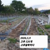 시민농장님의 작성글 사진