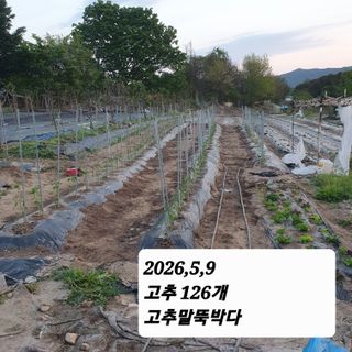 시민농장님의 기타작물 · 영농일지 작성글 사진