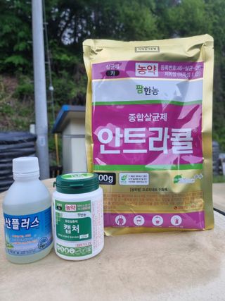 박기택님의 복숭아 · 영농일지 작성글 사진