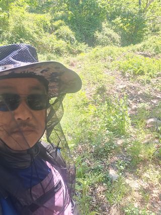 시금치11442님의 기타작물 · 영농일지 작성글 사진