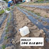 시민농장님의 작성글 사진