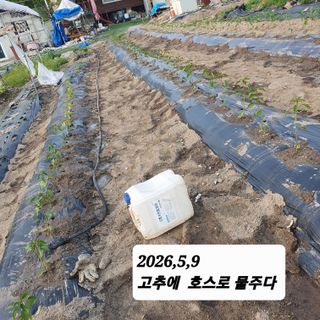 시민농장님의 기타작물 · 영농일지 작성글 사진