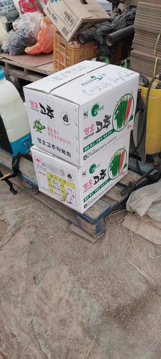 이사룡님의 작성글 사진