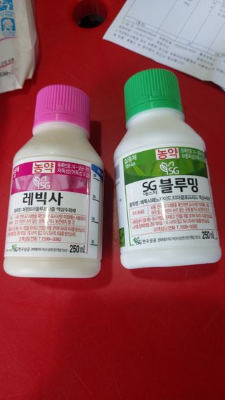 오동추님의 기타작물 · 영농일지 작성글 사진