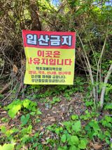 돈디아고(김덕수)님의 작성글 사진