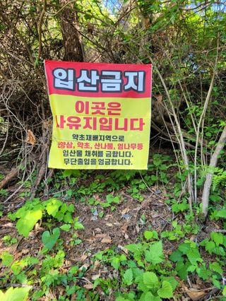 돈디아고(김덕수)님의 기타작물 · 영농일지 작성글 사진