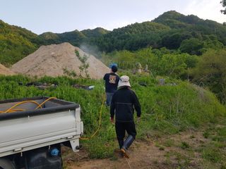시금치10393님의 복숭아 · 영농일지 작성글 사진