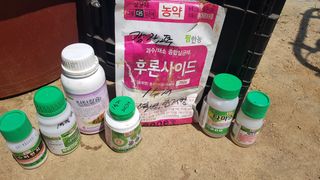 최춘득 청대산 님의 고추 · 영농일지 작성글 사진