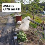시민농장님의 작성글 사진