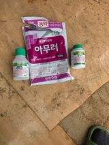 콩7431(팔공산)님의 작성글 사진