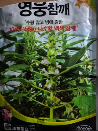 이시형님의 참깨 · 영농일지 작성글 사진