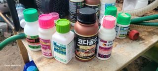 서대산향수님의 포도 · 영농일지 작성글 사진