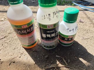 정영석님의 복숭아 · 영농일지 작성글 사진