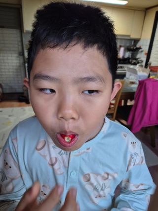 김기탁님의 기타작물 · 영농일지 작성글 사진