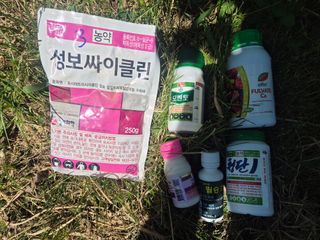 조성민님의 배 · 영농일지 작성글 사진