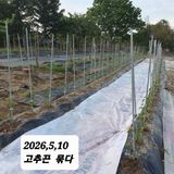 팜모닝 기타작물·영농일지 게시글 이미지