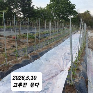 시민농장님의 기타작물 · 영농일지 작성글 사진