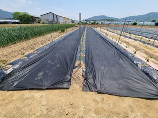 백석읍오산3리조남범님의 기타작물 · 영농일지 작성글 사진