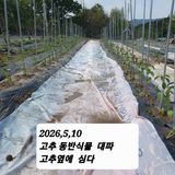 시민농장님의 작성글 사진