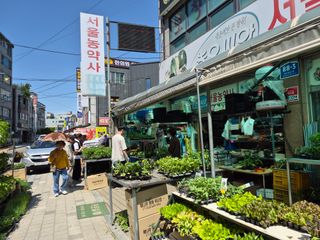 Kns4324님의 기타작물 · 영농일지 작성글 사진
