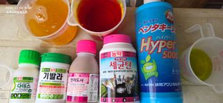 달맛햇복숭아농원님의 복숭아 · 영농일지 작성글 사진