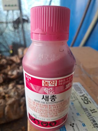 정찬우 님의 옥수수 · 영농일지 작성글 사진