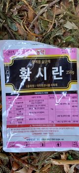 보물섬남자님의 작성글 사진