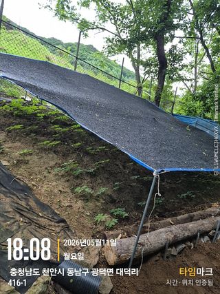 매실21434님의 기타작물 · 영농일지 작성글 사진