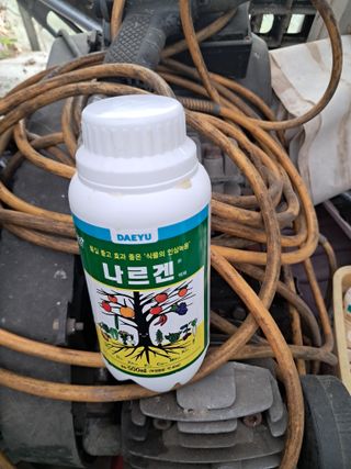 노재영님의 기타작물 · 영농일지 작성글 사진