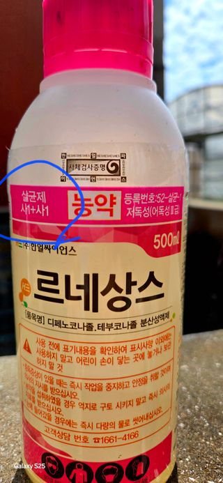 kia1588님의 귤 · 영농일지 작성글 사진
