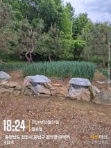 매실21434님의 작성글 사진
