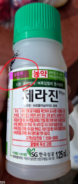 kia1588님의 귤 · 영농일지 작성글 사진