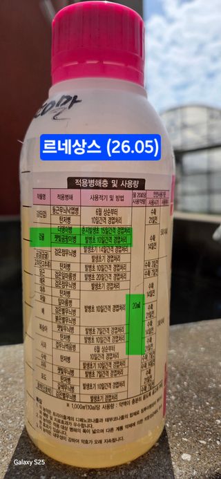 kia1588님의 귤 · 영농일지 작성글 사진
