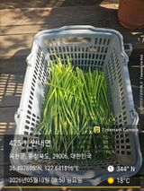 팜모닝 기타작물·영농일지 게시글 이미지