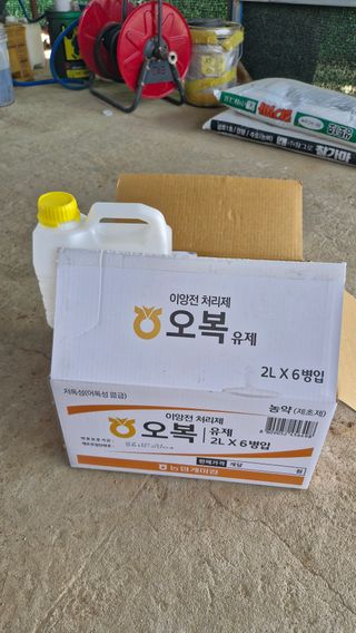 김홍례님의 벼 · 영농일지 작성글 사진