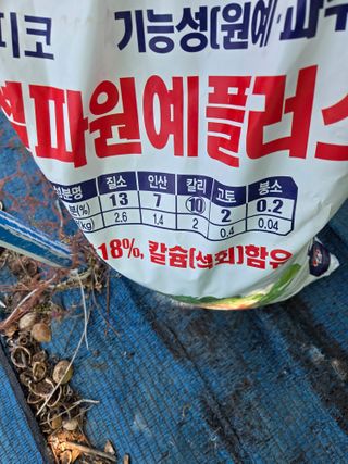 김영옥님의 기타작물 · 영농일지 작성글 사진