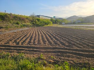 작은세우님의 들깨 · 영농일지 작성글 사진
