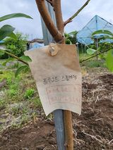 강동신님의 작성글 사진