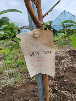 강동신님의 기타작물 · 영농일지 작성글 사진