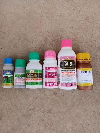 조성민님의 자두 · 영농일지 작성글 사진