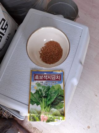백영호님의 시금치 · 영농일지 작성글 사진
