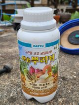 김해열님의 작성글 사진