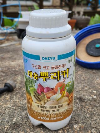 김해열님의 기타작물 · 영농일지 작성글 사진